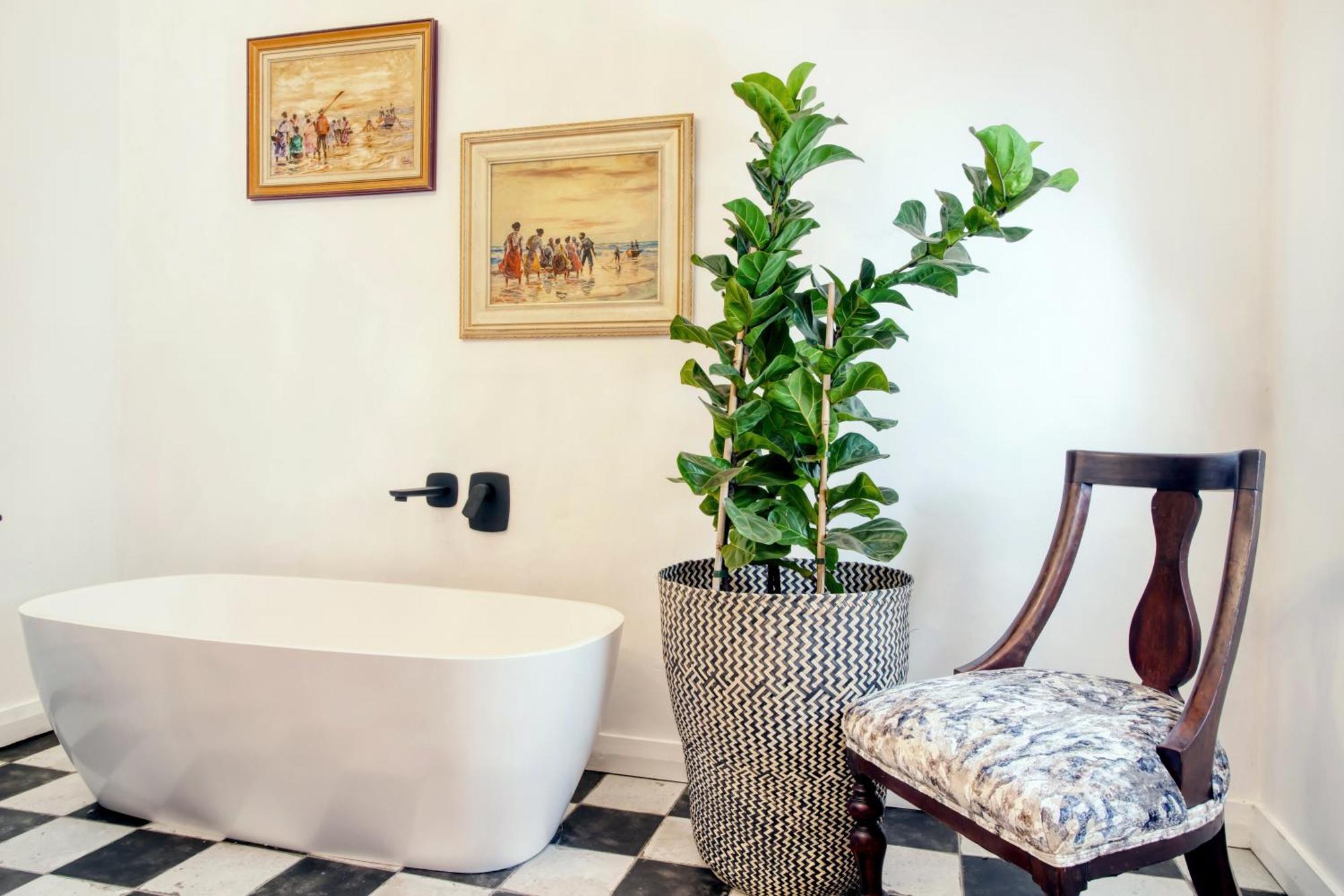 Maison Montagne Franschhoek Εξωτερικό φωτογραφία