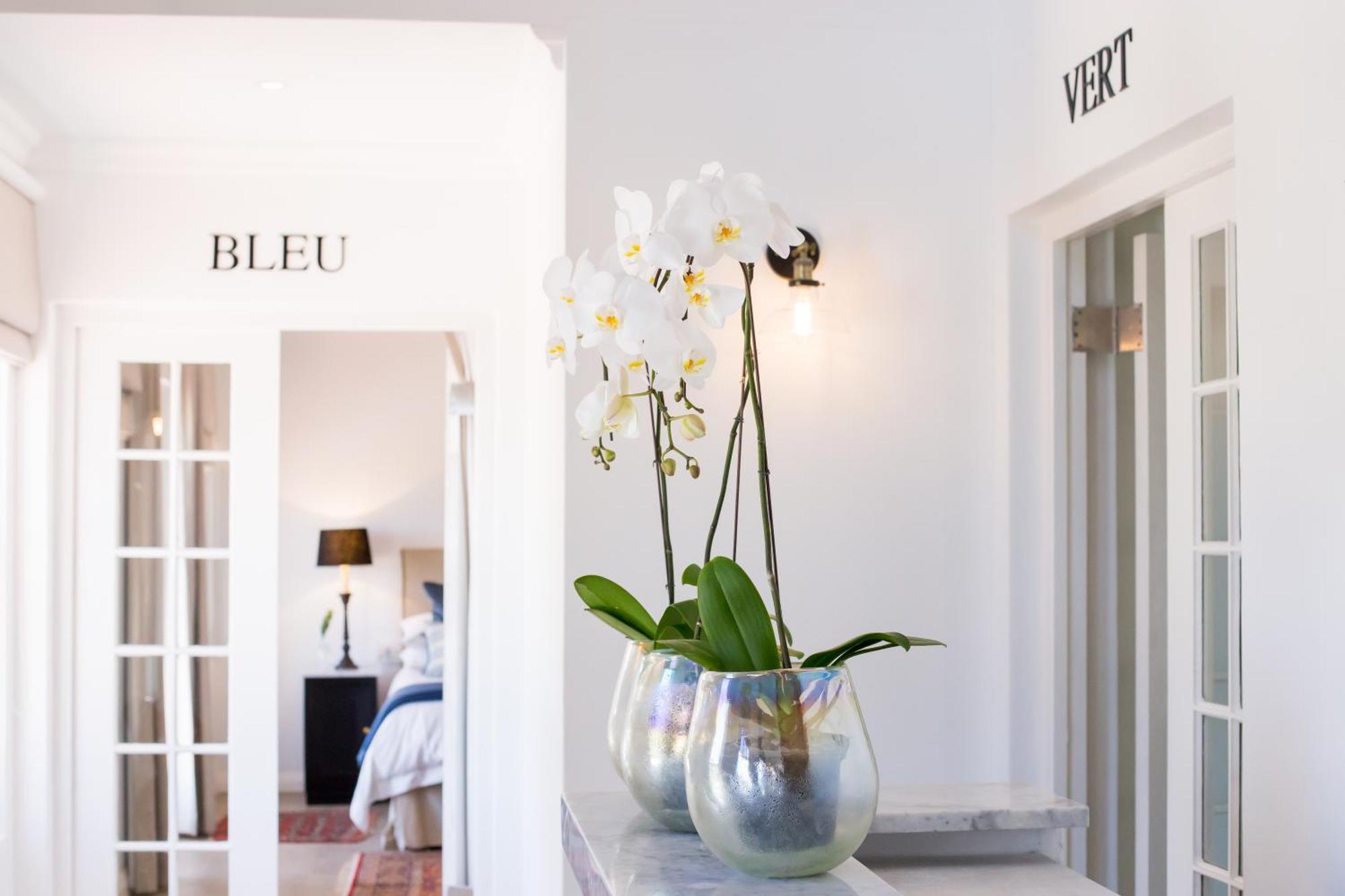 Maison Montagne Franschhoek Εξωτερικό φωτογραφία