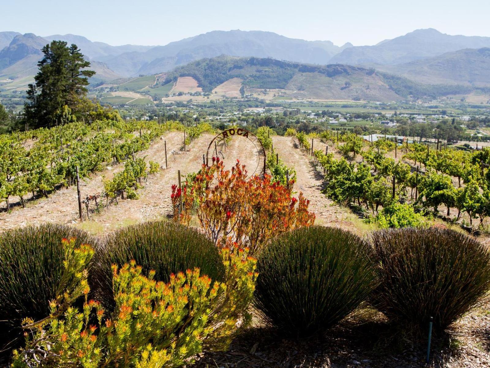 Maison Montagne Franschhoek Εξωτερικό φωτογραφία
